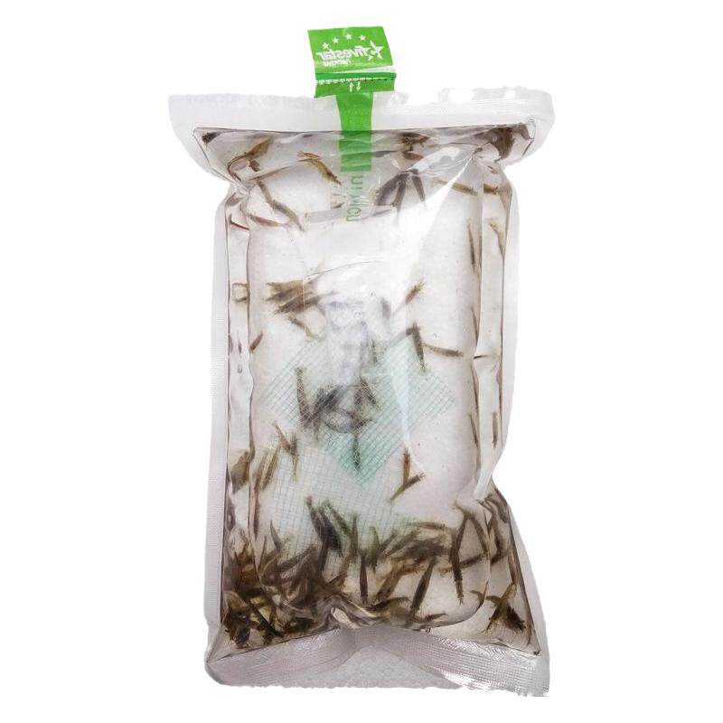喂乌龟的小虾苗新鲜活的
