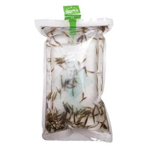 喂乌龟的小虾苗新鲜活的龟食小虾米活虾龟粮宠物虾自家繁殖除藻虾