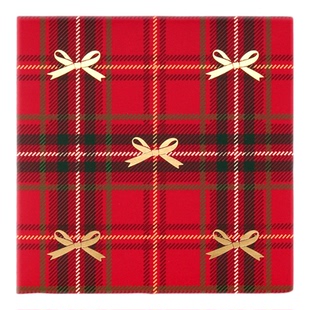 2026 马年新年烫金格子蝴蝶结简约长款红包利是封 创意个性红包