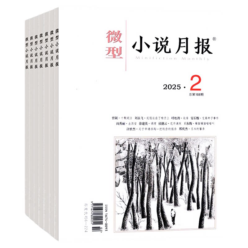 微型小说月报杂志2026年1-10月【2027全年订阅】小小说杂文选刊文学文摘散文近代现代中篇短篇长篇非2025过刊