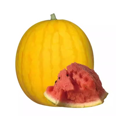 黄皮红瓤无籽早熟甜脆西瓜种子