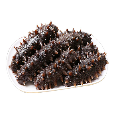 超级大连海参即食东上御品