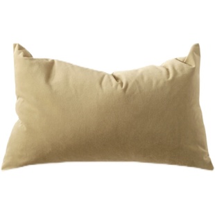 天鹅绒轻奢抱枕套60x80沙发靠垫套70x90加厚65x85不含芯定制尺寸