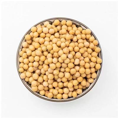 东北黑龙江黄豆农家自产大黄豆五谷杂粮豆类豆浆生豆芽黄豆