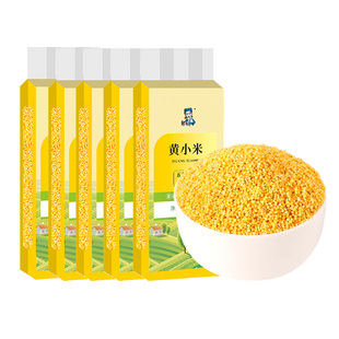新货东北黄小米小米粥五谷杂粮粥新米月子米粥米伴侣真空包装尝鲜