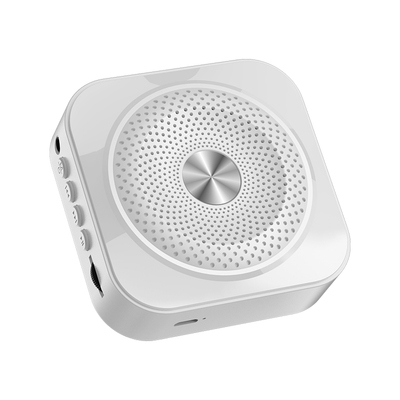 小蜜蜂蓝牙扩音器多功能防啸叫