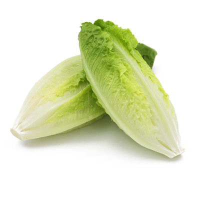 包心罗马生菜西餐沙拉轻食蔬菜
