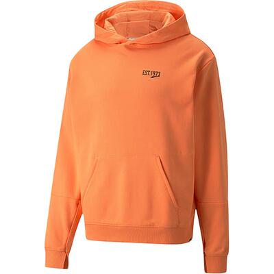Puma/彪马正品BASELINE男士简约运动休闲连帽卫衣534172-02