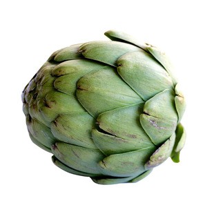 美国绿朝鲜蓟种子法国洋百合菜四季秋冬季盆栽孑不常见的蔬菜种籽