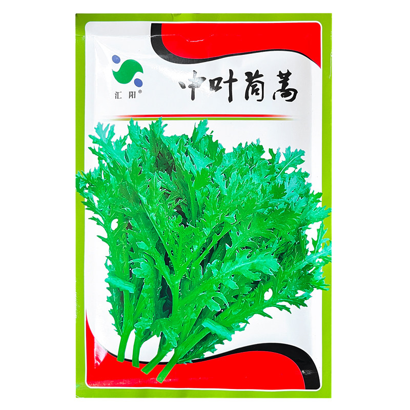 汇阳中叶茼蒿种子全国可种耐寒越冬盆栽阳台高产优质撒播蔬菜种籽