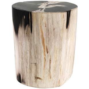 红树林奇石馆木化石凳子客厅样板间沙发边几软装搭配茶几家具桌子