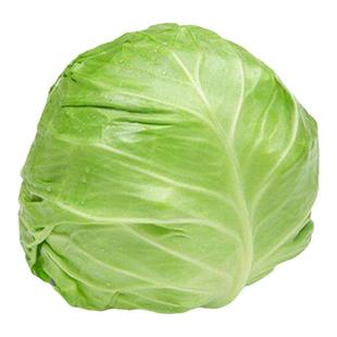 顺丰包邮农家自种 甘蓝 卷心菜小圆包菜脆甜新鲜时令蔬菜 当季