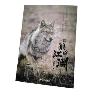 一匹狼的江湖 李微漪 重返狼群作者新作 图文动物生态人性之书给人与爱新年礼物 一部狼的自传软精装裸脊 三环出版社