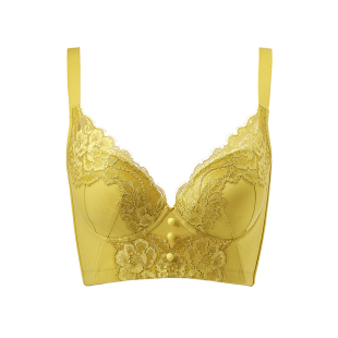 黑天鹅文胸小胸聚拢防下垂胸罩夏季美容院内衣女防外扩收副乳