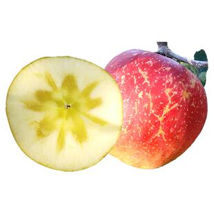 云南昭通冰糖心丑苹果10斤水果新鲜当季整箱富士红露苹果包邮脆甜