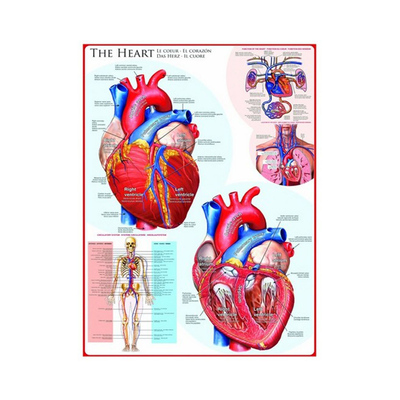 Eurographics加拿大进口益智拼图