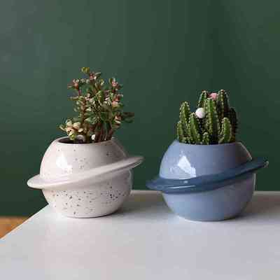 宿舍办公室内桌面绿植物防辐射幼儿园多肉小盆栽仙人球掌客厅好养