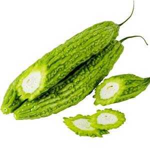 山东新鲜苦瓜蔬菜农家产地直销