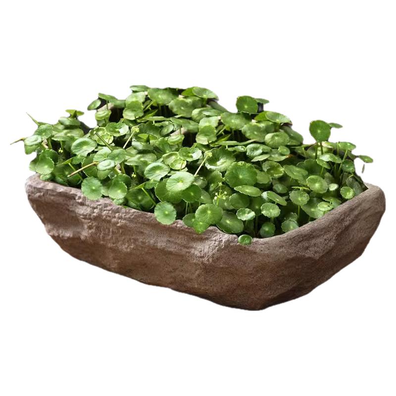 铜钱草睡莲碗莲一叶莲水培盆特价仿石无孔水养植物特大号粗陶盆器