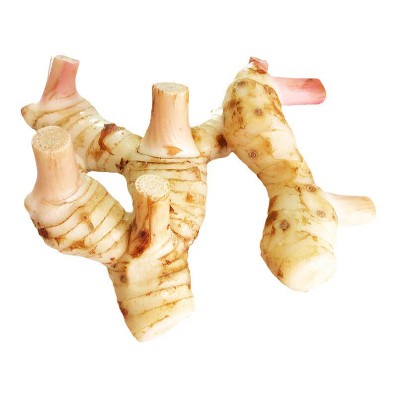 新鲜南姜泰国冬阴功汤食材