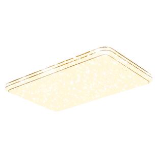 雷士照明现代轻奢简约吸顶灯智控大灯客厅灯卧室灯简影组合