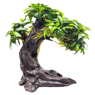 鱼缸造景迷你瓦利斯榕树水榕造景树水草水培植物阴性全套组合套餐