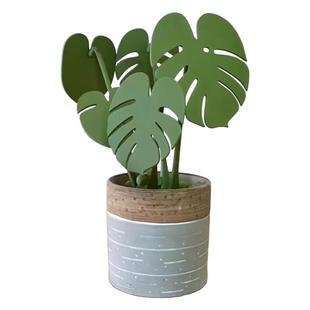 龟背竹杯垫创意餐桌摆件仿真绿植植物盆栽磁吸隔热垫树叶子防烫垫