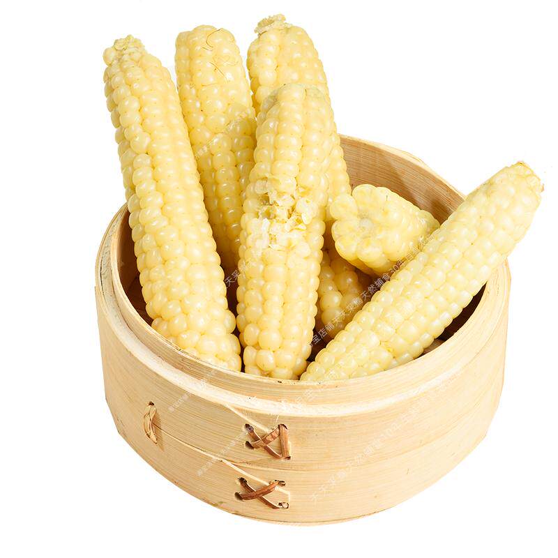 云南西双版纳拇指玉米即食早餐代餐新鲜傣家甜香糯迷你手指小玉米