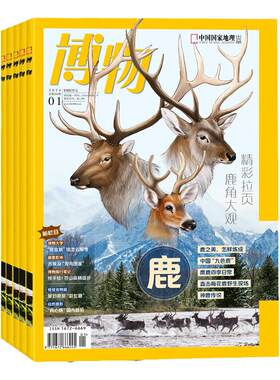 现货 2026年1-7月【7期 主题 厄尔尼诺】博物杂志2026年9月起订阅 中国国家地理青少年版中小学生自然科普百科 7-12岁