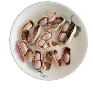 忠信花生河源特产白玉水煮花生口感软香淡咸带壳零食