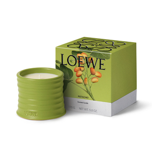 【官方正品】LOEWE罗意威香薰蜡烛170g番茄叶橙花礼物