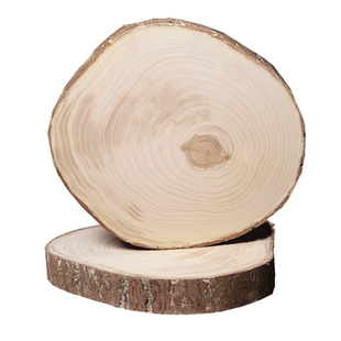 实木银杏木砧板白果树刀板千菜百味原木厨房用品切菜板银杏树菜墩