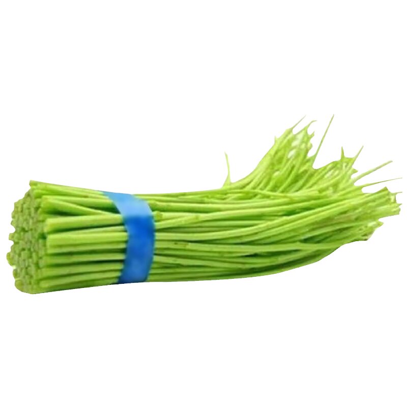 芦蒿新鲜农家自种蔬菜