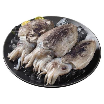 【舟山小墨鱼】当季海捕/新鲜！