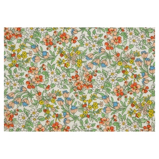 英国正品liberty100支Tana长纤棉面料手工DIY衬衫裙子服装布珍宝