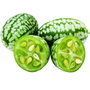 拇指小西瓜种子苗秧籽种迷你西瓜阳台四季秧苗水果黄瓜种籽孑母指