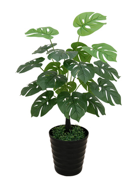仿真植物无需养护不会枯萎