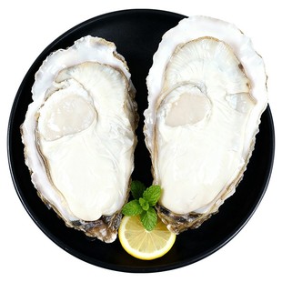 乳山生蚝包肥包活海鲜水产刺身即食特大牡蛎带壳海蛎子带箱10斤