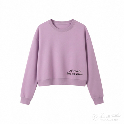 100%纯棉短款卫衣女春秋新款