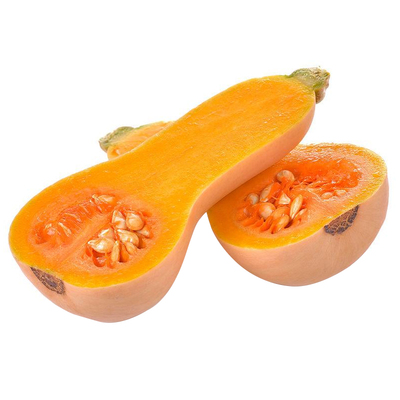 早栗蜜本南瓜种子粉面蜜早