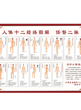 人体穴位图十二经络图防水海报