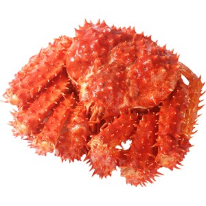 熟冻帝王蟹智利进口冰鲜螃蟹鲜活冷冻皇蟹皇帝蟹海鲜礼盒大礼包