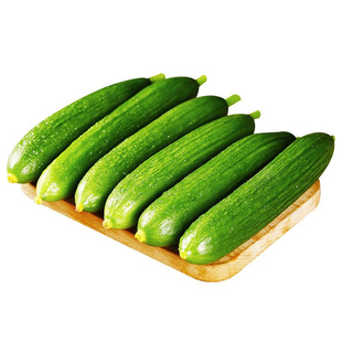 水果青瓜新鲜生吃脆嫩水果荷兰小青瓜沙拉食材沙拉蔬菜500g