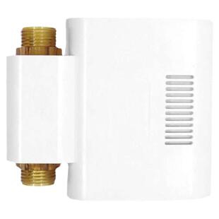 管道式活氧水机新品家用智能果蔬清洗衣机杀菌厨房净水臭氧发生器