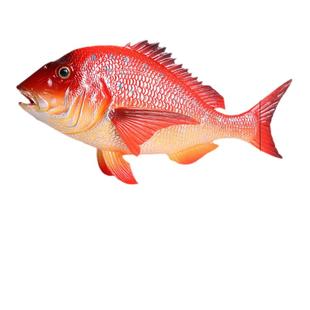 仿真动物模型海洋鱼类金鱼食人鱼飞鱼河豚鱼石头鱼蝴蝶鱼儿童玩具