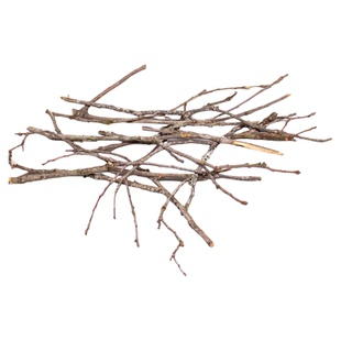 黄梨枝细枝南美缸生态造景沉木枝条原生缸底床装饰点缀天然小树根