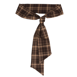 丝巾棕色腰带配饰女款装饰配牛仔裤高级感丝带宽皮带2025新款腰封