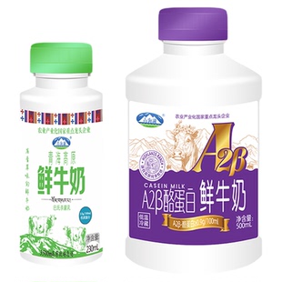 青海湖高原A2酪蛋白鲜牛奶7瓶+巴氏杀菌低温高原鲜奶230ml*4瓶