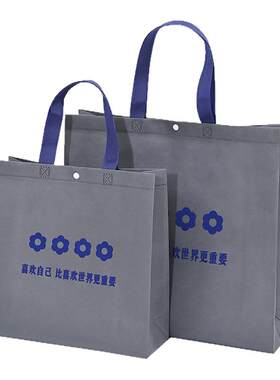 服装店手提袋无纺布袋子定制