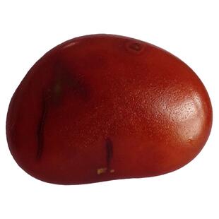 水玉冰魄天然红玛瑙 籽玛瑙把玩原皮原矿雕刻毛料原石手把件实物